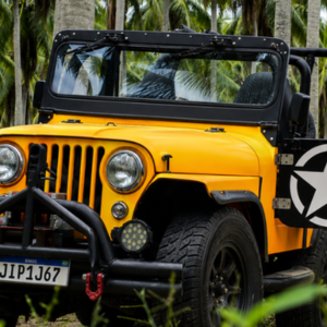 Passeio 4×4 em João Pessoa: Emoção e Natureza no Litoral Sul