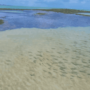 JAMPA CONEXÃO